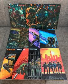 Teenage mutant ninja turtles 1-12 variant