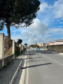 ??New entry ?? #mandatoinesclusiva??