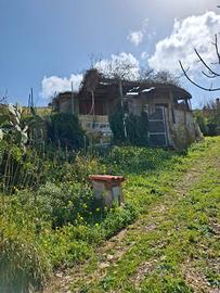 Monte Bonifato rustico con 4000mq terreno