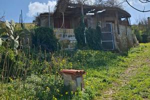 Monte Bonifato rustico con 4000mq terreno