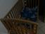 Immagine 1
