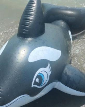 Orca gonfiabile