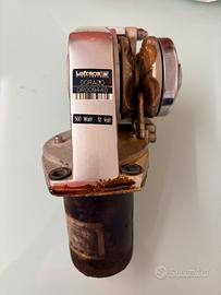 Salpa ancora lofrans