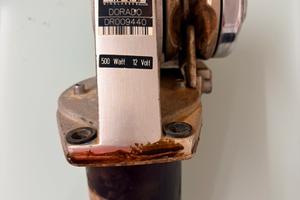 Salpa ancora lofrans