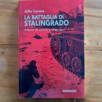 La battaglia di Stalingrado