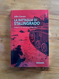 La battaglia di Stalingrado