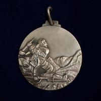 Medaglia 3* Divisione Alpina Julia