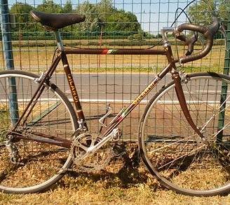 Gilardi Campagnolo