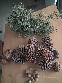 pigne per addobbi natalizi 