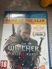 the witcher