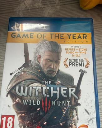 the witcher