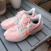 Nike zoom pegasus 39