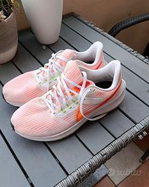 Nike zoom pegasus 39