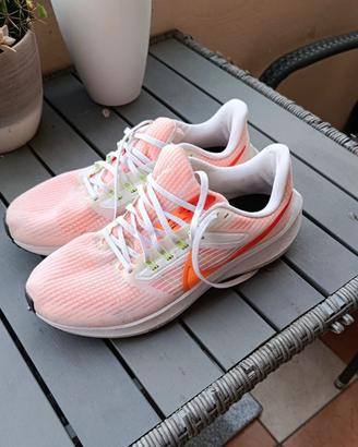 Nike zoom pegasus 39