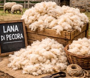 Lana di pecora pulita