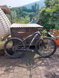 Mtb in carbonio 29