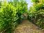 Immagine 25