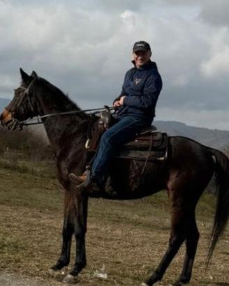 Cavallo