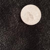 moneta da 2 lire  con ape e ulivo 