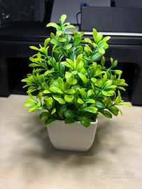 Pianta artificiale decorativa con vaso bianco