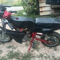 Minimoto rivara bamby 5