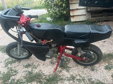 Minimoto rivara bamby 5