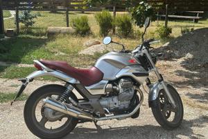 Guzzi Breva 750, anno 2006