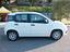 Immagine 7