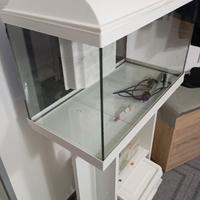 acquario completo con mobile
