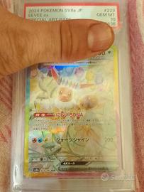 Pokémon terastal festival