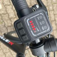 Bicicletta elettrica con pedalata assistita