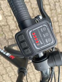 Bicicletta elettrica con pedalata assistita