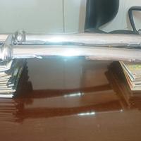 Paraurti topolino A e B