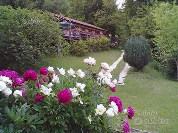 Intorno " SOLO NATURA "