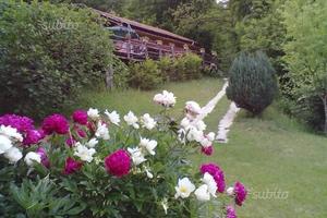 Intorno " SOLO NATURA "