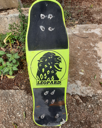 Skateboard