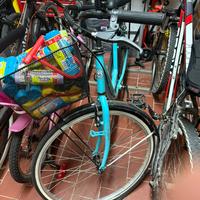 Bicicletta donna holand