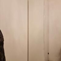 Armadio ikea PAX  anta laccata