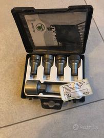 Viti antifurto ruota Skoda Dimensioni M4X15X17 rif
