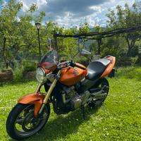 Honda Hornet 600