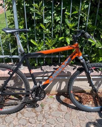 Mountain bike