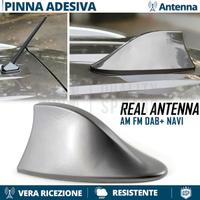 Antenna PINNA SQUALO per NISSAN GRIGIA VERO SEGNAL