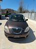 lancia-ypsilon-1-3-mjt-75-cv-platino
