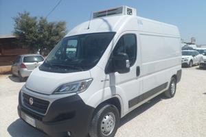 Fiat Ducato furgone medio frigo coibentato