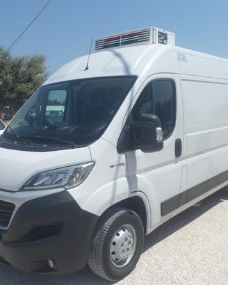 Fiat Ducato furgone medio frigo coibentato