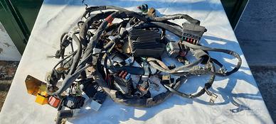 Impianto elettrico cablaggio completo Beverly 500