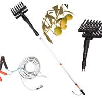 scuotolive abbacchiatore a batteria 🔋 