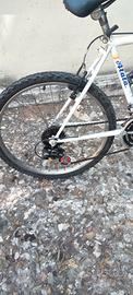 Atalavbici 24" 