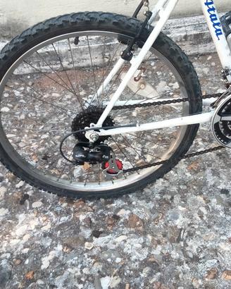 Atalavbici 24" 
