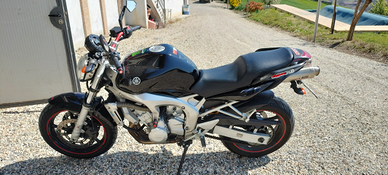 Yamaha fz6-n